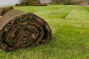 rotolo di erba sintetica