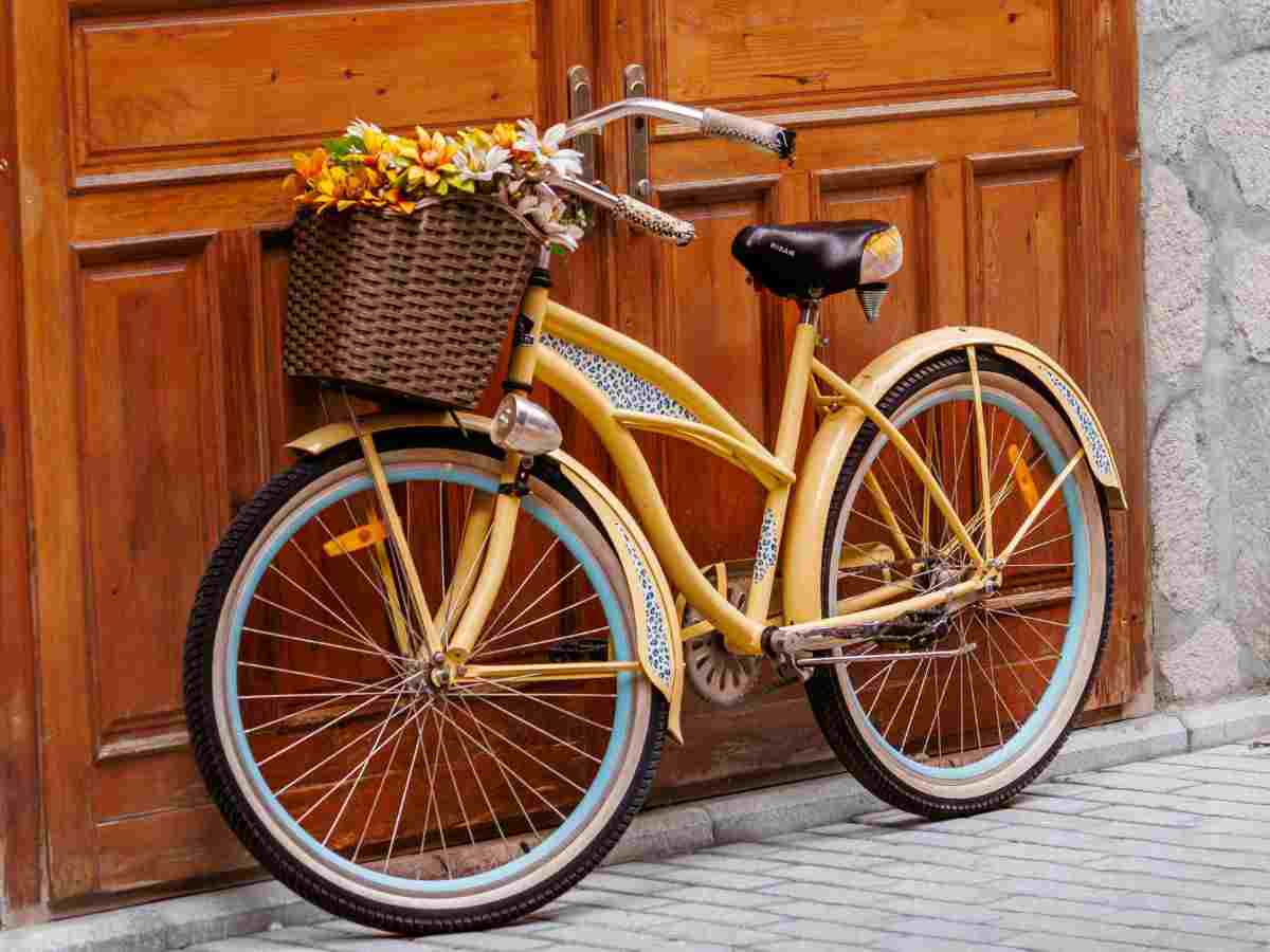 bicicletta poggiata su un portone in legno