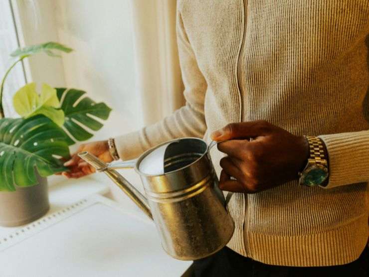 uomo che innaffia pianta