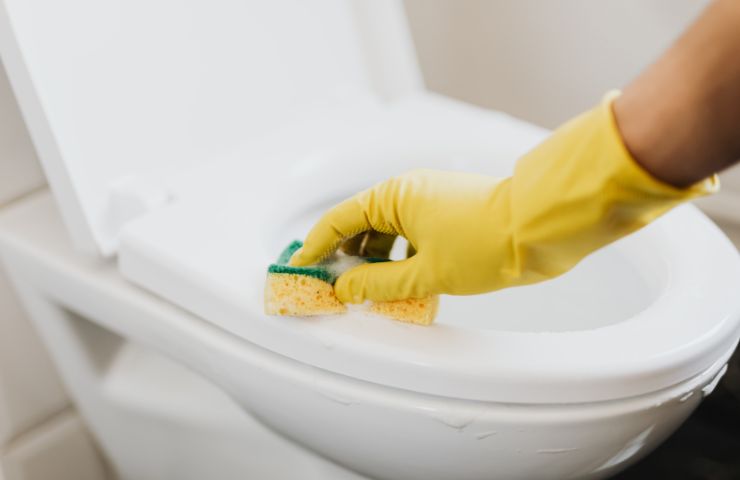 donna pulisce wc con spugnetta